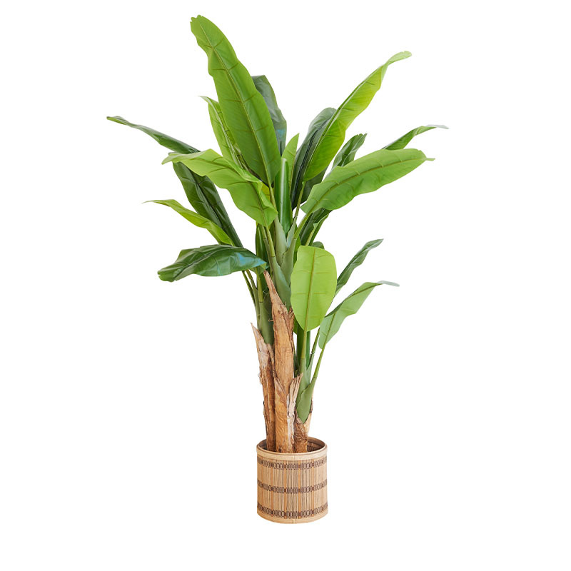 xxl-kunstplant-bananenplant-0001-8720195382430-h