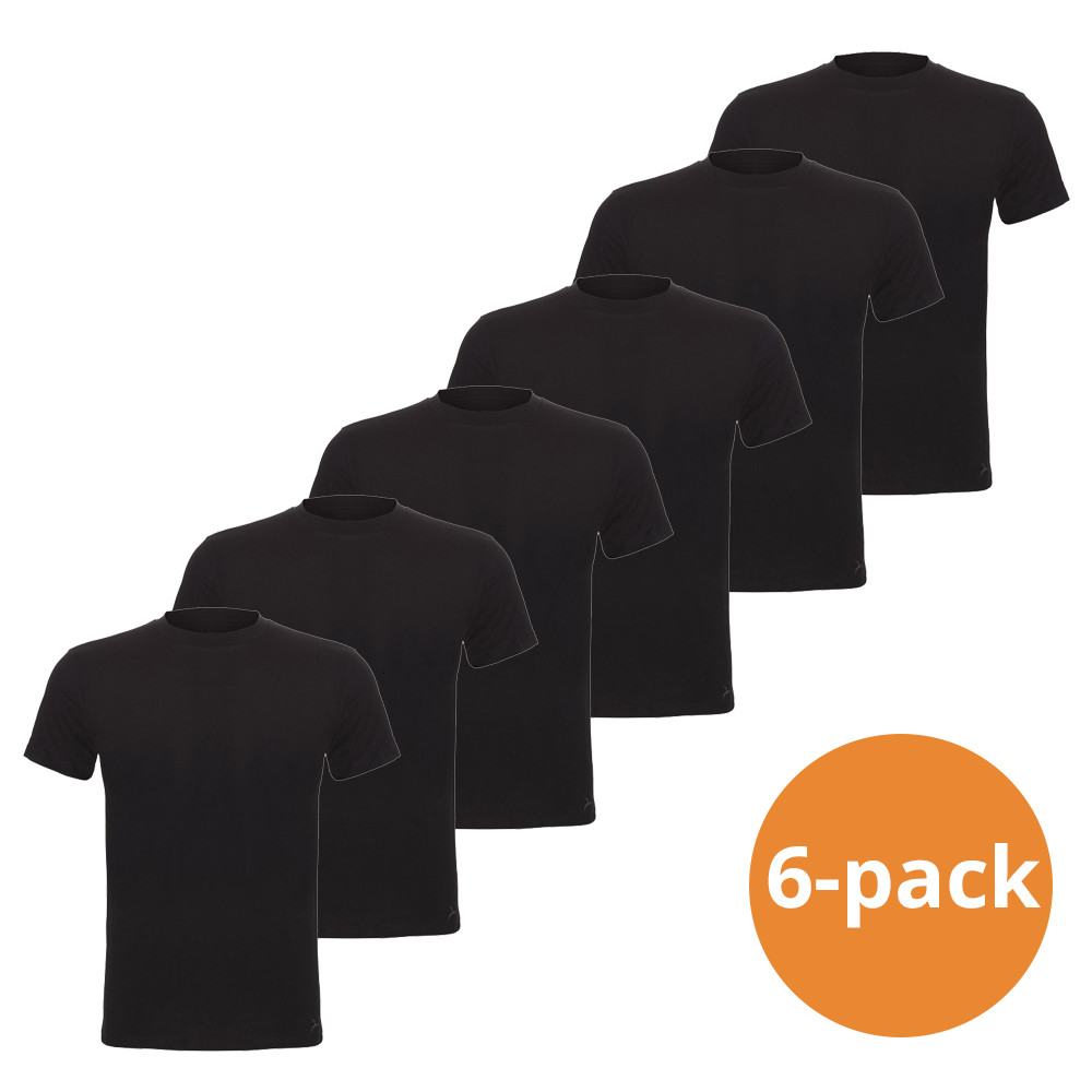 cavello-t-shirts-6-pack